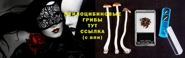 ECSTASY Абинск