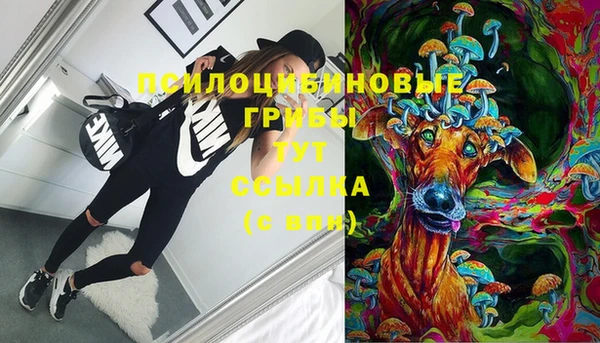 ECSTASY Абинск
