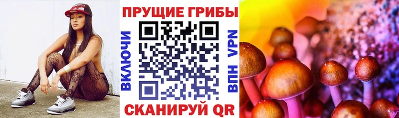 кракен зеркало  Слюдянка  Псилоцибиновые грибы мухоморы 